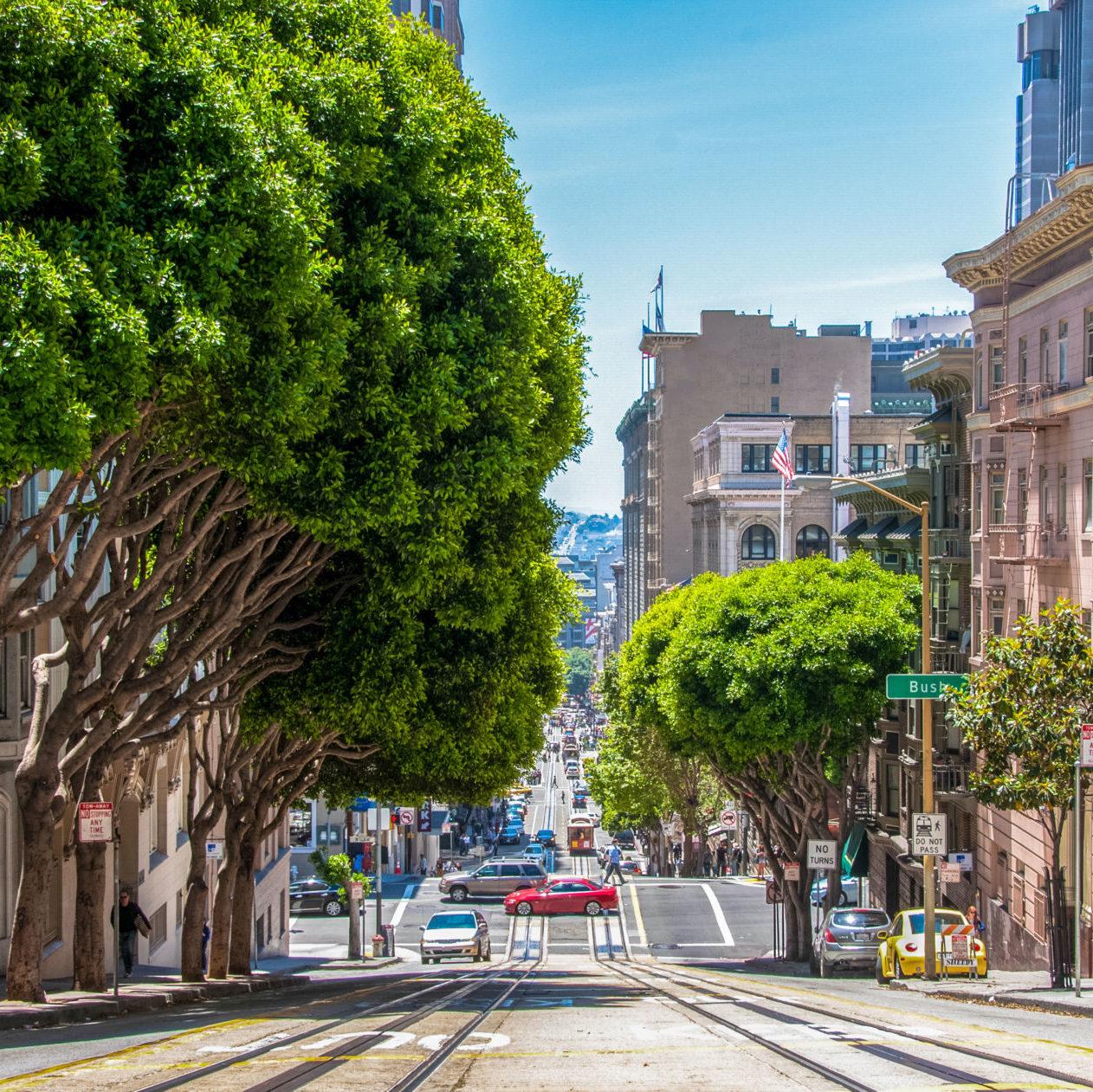 A view of downtown San Francisco, looking down a street with trees on the left and buildings on the right